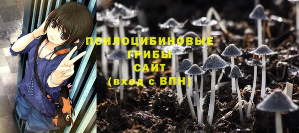 шишки Тихорецк