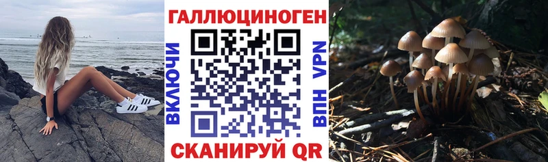 Псилоцибиновые грибы мицелий  наркота  Тутаев 