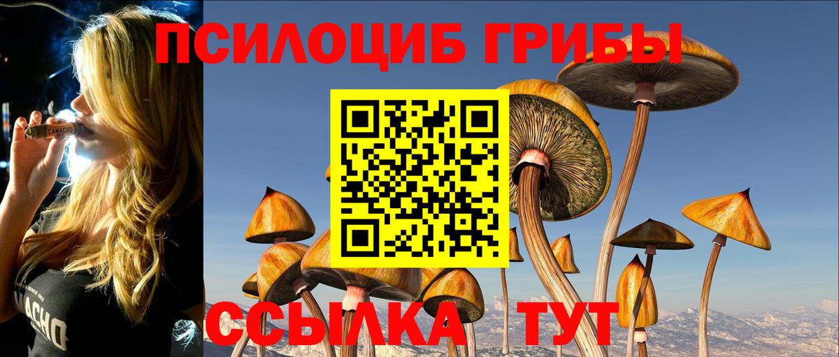 Псилоцибиновые грибы мицелий Тутаев