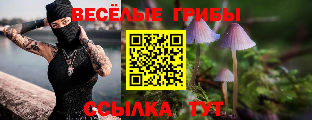Галлюциногенные грибы мицелий  Тутаев  Галлюциногенные грибы Magic Shrooms 
